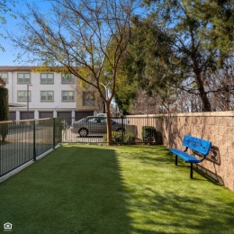 dog park with a bench
