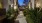 walkways with surrounding landscaping